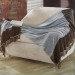 ZEN THROW